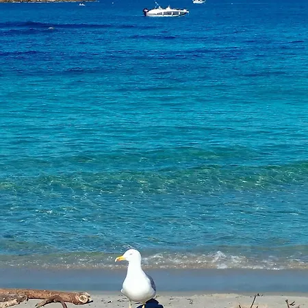 4p Vue Calme Cap Esterel Apartment Saint-Raphael (Var)